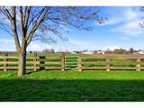 84780 Tum A Lum Rd - Photo 37