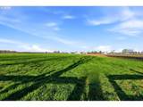 84780 Tum A Lum Rd - Photo 38