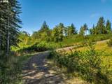 40812 Gerig Ln - Photo 8
