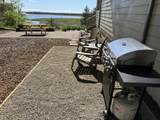 37025 Brooten Hill Rd - Photo 39