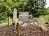 37025 Brooten Hill Rd - Photo 46