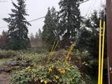  Schiller - Photo 1