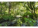 6685 Burnside St - Photo 32