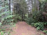  Russell Dr - Photo 19
