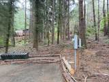  Russell Dr - Photo 7