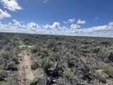  Lost Forest Ln - Photo 15