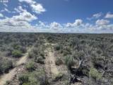  Lost Forest Ln - Photo 26