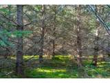 0 Berlin Ridge Rd - Photo 11