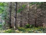 0 Berlin Ridge Rd - Photo 12