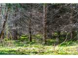 0 Berlin Ridge Rd - Photo 13