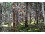 0 Berlin Ridge Rd - Photo 15