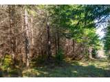 0 Berlin Ridge Rd - Photo 6