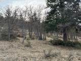  Coopers Hawk Rd - Photo 15