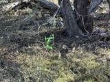  Bunting Drive - Photo 22