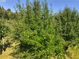 99301 Agness Rd - Photo 12
