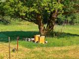 99301 Agness Rd - Photo 17