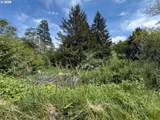  Rock Creek - Photo 18
