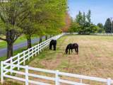 14161 Tooze Rd - Photo 47