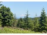 11894 Dupee Valley Rd - Photo 14