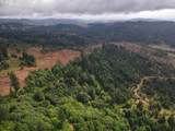 11894 Dupee Valley Rd - Photo 33