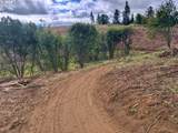 11894 Dupee Valley Rd - Photo 39