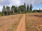 11894 Dupee Valley Rd - Photo 41