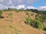 11894 Dupee Valley Rd - Photo 42