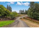 22396 Parrot Creek Rd - Photo 13