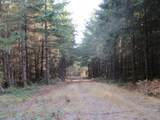 0 Hazelnut Ridge Rd - Photo 12