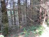 0 Hazelnut Ridge Rd - Photo 13