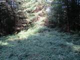 0 Hazelnut Ridge Rd - Photo 14