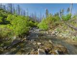 942 Honey Creek Rd - Photo 1