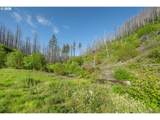 942 Honey Creek Rd - Photo 14