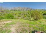 942 Honey Creek Rd - Photo 7