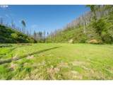 942 Honey Creek Rd - Photo 9