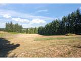 21290 Eastview Rd - Photo 39