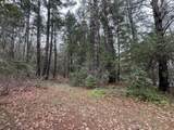 908 Riverbanks Rd - Photo 3