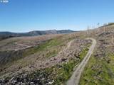 2 Middle Horse Creek Rd - Photo 10