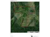 2 Middle Horse Creek Rd - Photo 11