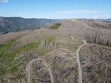 2 Middle Horse Creek Rd - Photo 2