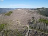 2 Middle Horse Creek Rd - Photo 3
