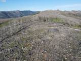 2 Middle Horse Creek Rd - Photo 8