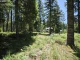  Loowit Ln - Photo 10