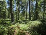  Loowit Ln - Photo 11