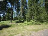  Loowit Ln - Photo 14