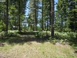  Loowit Ln - Photo 15