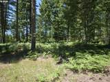  Loowit Ln - Photo 16