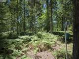  Loowit Ln - Photo 17