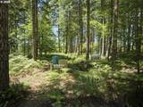  Loowit Ln - Photo 18