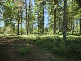  Loowit Ln - Photo 19